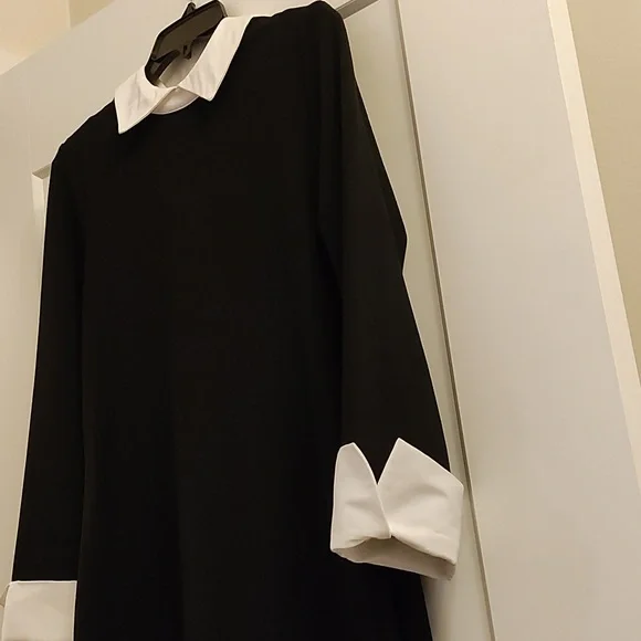 Black & White sweater Dress just add pearls and a red shoe and you'll be styling - Picture 4 of 10